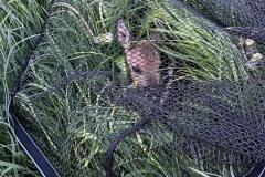 WhatsApp-Image-2025-05-08-at-06.41.42-1