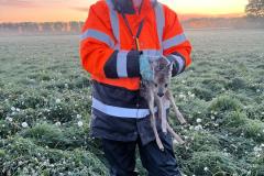 WhatsApp-Image-2025-05-08-at-06.41.42