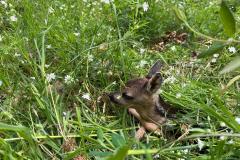 WhatsApp-Image-2025-05-10-at-14.25.26