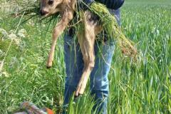 WhatsApp-Image-2025-05-19-at-14.45.36