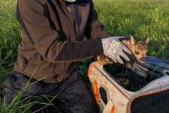 WhatsApp-Image-2025-06-11-at-18.07.24