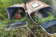 WhatsApp-Image-2025-06-18-at-13.06.43-1